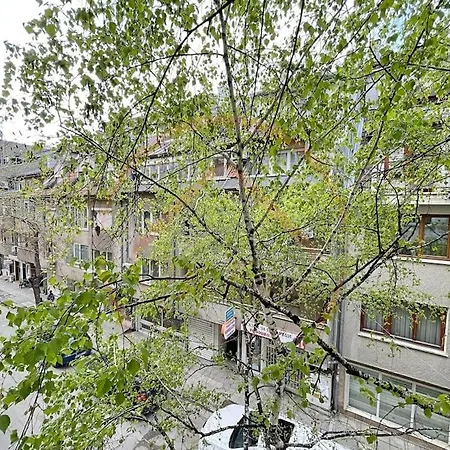 In The Heart Of *
