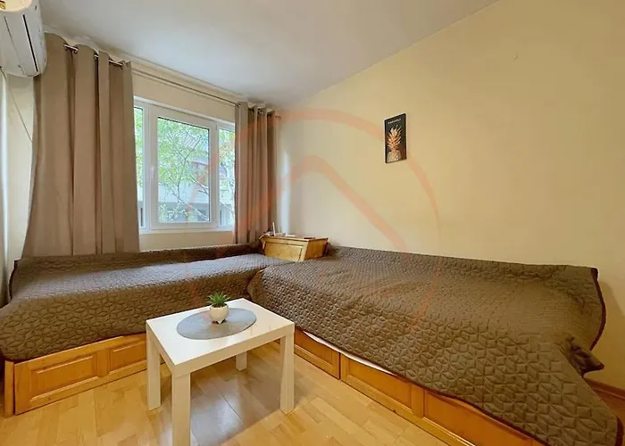 Apartment In The Heart Of Varna